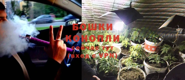 гидра Богданович
