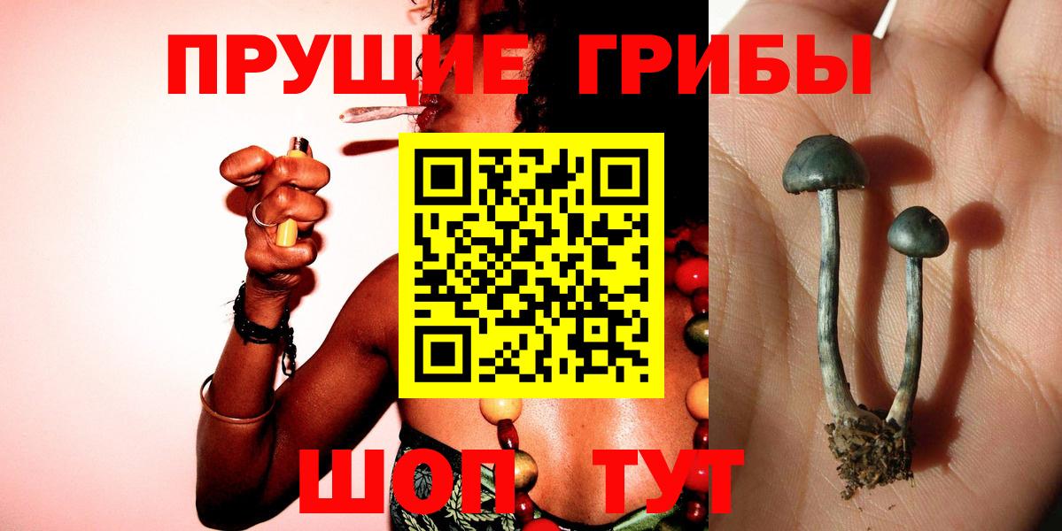 Псилоцибиновые грибы Cubensis  магазин продажи наркотиков  Воркута 