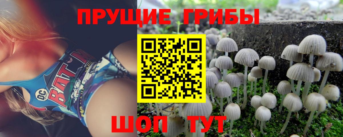 Псилоцибиновые грибы Magic Shrooms  Вход с VPN  Воркута  Псилоцибиновые грибы Psilocybe 